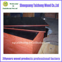 film shuttering plywood